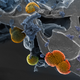 Illustration for article titled 27 Amazing Images From the Depths of Scientific Labs
